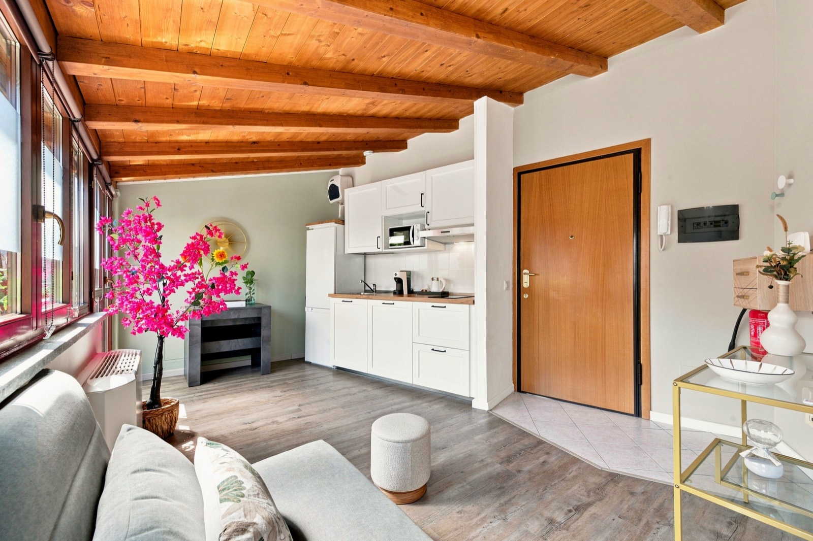 Soggiorno con cucina e ingresso